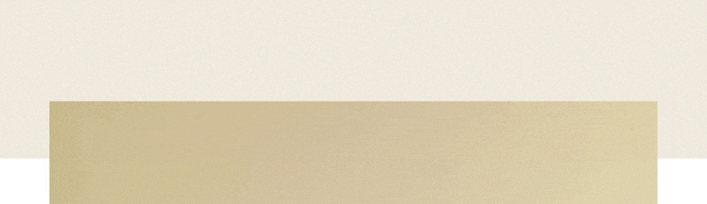 top_nordic_wok_03.gif